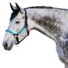 Kensington Premium Breakaway Halter with Padded Nose  Added Breakaway Safety Measures  Snap at Throat for Identical Fit Each Time Size: X-Large - Color: Black w/Atlantis view 1