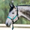 Kensington Premium Breakaway Halter with Padded Nose  Added Breakaway Safety Measures  Snap at Throat for Identical Fit Each Time Size: X-Large - Color: Black w/Atlantis view 2
