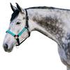 Kensington Premium Breakaway Halter with Padded Nose  Added Breakaway Safety Measures  Snap at Throat for Identical Fit Each Time Size: X-Large - Color: Black w/Atlantis view 3