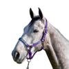 Kensington Premium Breakaway Halter with Padded Nose  Added Breakaway Safety Measures  Snap at Throat for Identical Fit Each Time Size: Medium - Color: Purple w/Lavender Mint view 1