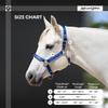 Kensington Premium Breakaway Halter with Padded Nose  Added Breakaway Safety Measures  Snap at Throat for Identical Fit Each Time Size: Medium - Color: Purple w/Lavender Mint view 4