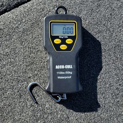 ACCU-CULL Waterproof Scale