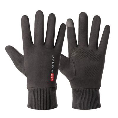 FUFU Gloves Windproof Touchscreen Gloves for Men Cold Weather Warm Gloves for Outdoor Sports Cycling (Color : Gray)