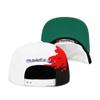 Mitchell & Ness Men's Philadelphia 76er's Hardwood Classics Paintbrush Snapback Cap, White/Black view 4