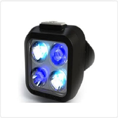 Rescue Leaders WBNYL-2 White & Blue Body Beacon LED Equipped Black Nylon Belt Keeper First Responder Children Pet Safety Light Gen 2 - Quantity of 2