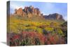 12 x 16 in. Chuparosa & Brittlebush Superstition Mountains, Arizona Art Print - Tim Fitzharris view 1