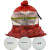 Golf Ball Planet 72 Used Golf Balls for Bridgestone in Mesh Bag 3A/2A Condition view 1