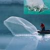 LSOAARRT Fishing Cast Net Handmade Saltwater Throw Fishing Net for Bait Trap Fish 8ft Radius 3/8 inch Mesh Size Clear Mono Cast Net view 3