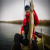 UFISH -Large Size Electric Live Bait - Swimming Robotic Segment Fishing Lure - Animated Swim Bait (Sunshine Bass) view 4