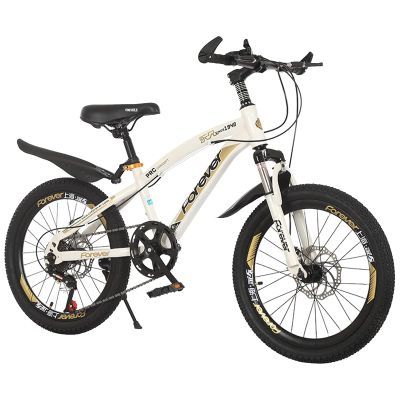 FUFU Children's Outdoor Bicycle with Mudguard and Stand Suitable for Boys and Girls Aged 7-14 (Color : White, Size : 20in)