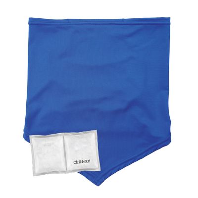 Ergodyne Chill Its 6482 Cooling Neck Gaiter Bandana with Pocket for Ice or 6283 Phase Change Cool Pack (Included), UPF 50+ Sun Protection,Blue, Small/Medium