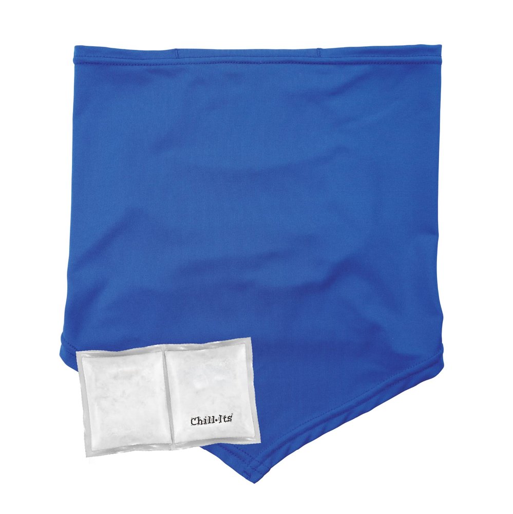 Ergodyne Chill Its 6482 Cooling Neck Gaiter Bandana with Pocket for Ice or 6283 Phase Change Cool Pack (Included), UPF 50+ Sun Protection,Blue, Small/Medium