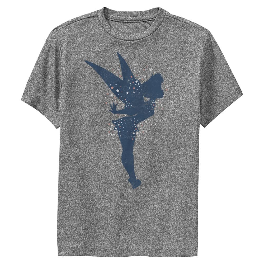 Disney Boy's Tink Americana T-Shirt, Charcoal Heather, Small