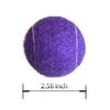 HPWFHPLF Tennis Balls, 12 Pack Advanced Training & Practice Tennis Balls for Beginners, Pet Dogs Playing Balls, Includes Mesh Carry Bag (Purple) view 2