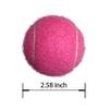 HPWFHPLF Tennis Balls, 12 Pack Advanced Training & Practice Tennis Balls for Beginners, Pet Dogs Playing Balls, Includes Mesh Carry Bag (Pink) view 2