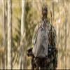 ALPS OutdoorZ Turkey Call Pockets & Game Bag, Realtree Edge view 4