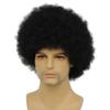 Amnenl Mens Afro Wig Curly Black Short Wigs Kinky Fancy Funny 70s Costume Halloween Party Accessory Unisex Adult Hair for Black Men view 2