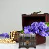 Alipis Vintage Metal Treasure Chest Set: Small Pirate Trinket Box with Lock Keys Jewelry Keepsake present Ring Holder Case for Girls Ladies Women view 3
