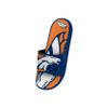 FOCO Boy's NFL Kids Team Sport Shower Gel Slide Flip Flop Sandals, Colorblock Big Logo, 2-3 view 3