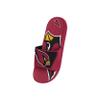 FOCO Boy's NFL Kids Team Sport Shower Gel Slide Flip Flop Sandals, Colorblock Big Logo, 11-12 view 3