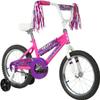 Dynacraft Magna Sapphire 16" Children's Bike  Stylish and Durable, Perfect for Kids Learning to Ride, Easy to Assemble, Ideal for Young Riders, Fun and Colorful Design view 1