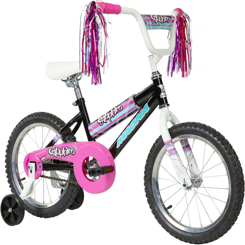 Dynacraft Magna Sapphire 16" Children's Bike Stylish and Durable, Perfect for Kids Learning to Ride, Easy to Assemble, Ideal for Young Riders, Fun and Colorful Design