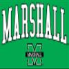 J2 Sport Marshall Thundering Herd Jumbo Arch Hooded Sweatshirt Irish Green view 2