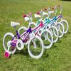 Dynacraft Magna Star Burst 16" Children's Bike view 2