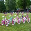 Dynacraft Magna Sweetheart 12" Children's Bike  Fun and Colorful Design, Sturdy and Durable, Perfect for Kids Learning to Ride, Easy to Assemble, Ideal for Young Riders view 2