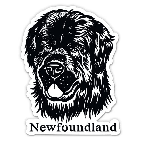 Newfoundland Stickers - 2 Pack - Waterproof Vinyl for Car, Phone, Water Bottle, Laptop - Dog Decals (2-Pack)