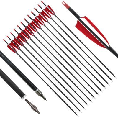 OBTOUTDOOR 30 Inch Carbon Arrows Archery Hunting Arrows Spine 500 with Removable Tips for Compound & Recurve Bow Practice Shooting (12 Packs)