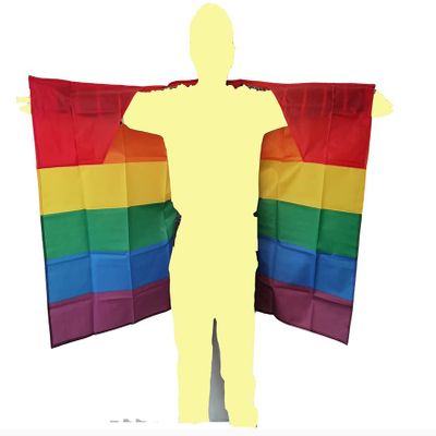 Bisexual and BI Pride Cape - Two Arm Sleeve Rainbow Flag