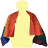 Bisexual and BI Pride Cape - Two Arm Sleeve Rainbow Flag view 2