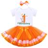 Baby Girl Bunny First 1st Birthday Outfit One Year Old Party Cake Smash Set Cotton Short Sleeve Romper Tutu Tulle Skirt Bowknot Headband 3pcs Set Easter Party Photo Shooting Props Carrot Bunny 1 Year view 1