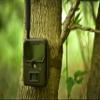 COVERT SCOUTING CAMERAS WC20-V (Verizon Wireless) 4G LTE Cellular Game & Trail Camera for Hunting Deer and Wildlife  20mp High-Res Images & 1080p Videos Transmitted to Mobile App, CC0012 view 4
