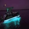 Pimp My Pontoon Multi-Color LED Light kit Color-Changing DIY Under Deck Light Strings with Remote 19ft view 3