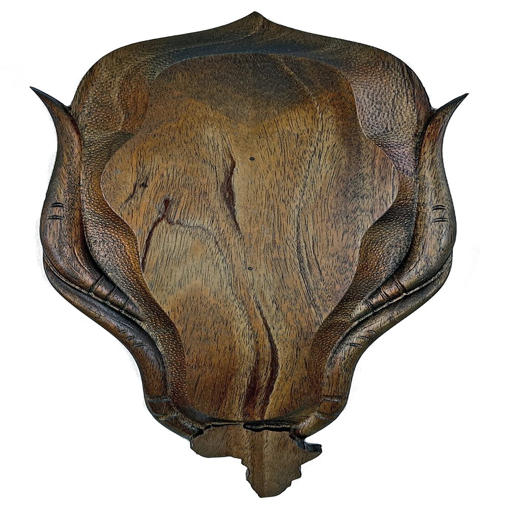 African Safari European Skull Mount Display for Antelope Species and Others (Small)
