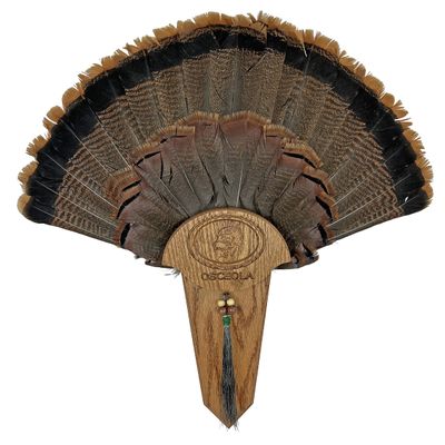 Carved Turkey Tail Mounting Kit w/Beard and Spur Display Options - Customizeable for All Species! (Dark Oak)