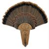Carved Turkey Tail Mounting Kit w/Beard and Spur Display Options - Customizeable for All Species! (Dark Oak) view 1