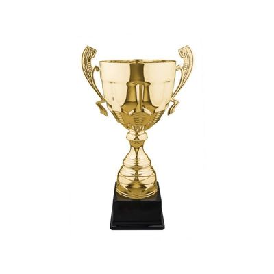 Trophy Monster Gold Or Silver 1st 2nd 3rd Place Large Trophy Cup Award Metal Bowl | for Club, School & Presentations | Free Engraving
