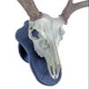 Yakisugi Treatment Jet Black Oak Custom European Skull Mount Wall or Table Display - No Drilling Required view 3