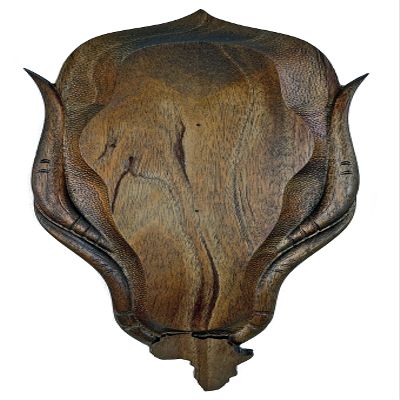 African Safari European Skull Mount Display for Antelope Species and Others (XLarge)