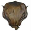 African Safari European Skull Mount Display for Antelope Species and Others (XLarge) view 1