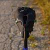 Miss Grape Cluster 7 Road Waterproof Bike Seat Bag, Black view 4