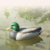 Floating Mallard Duck Deadly Fishing Lure Hen for Outdoor Hunting Decoy Garden Decorations to Improve Living Conditions view 2