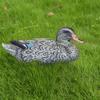 Floating Duck Hunting Decoy Mallar for Fishing Lure Hen Garden Pool Decorations to Improve Living Conditions view 3