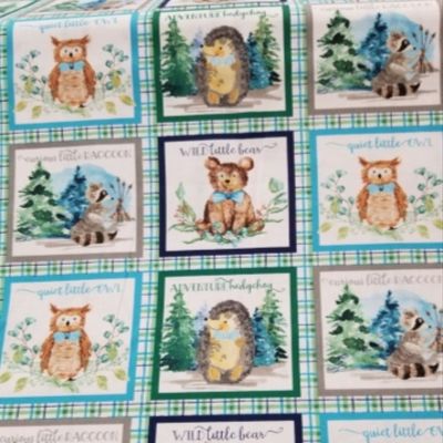 3 Wishes Forest Friends Boy 18681 Multi Block Panel on Plaid