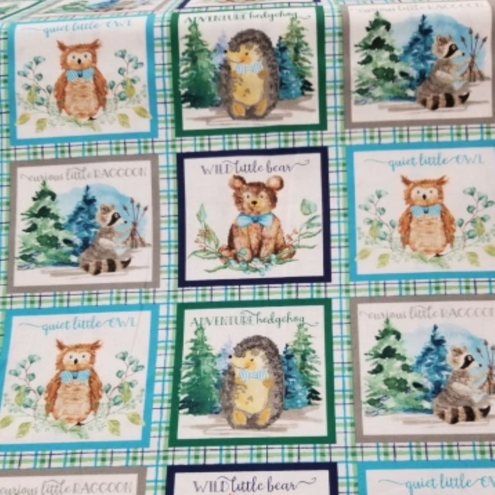 3 Wishes Forest Friends Boy 18681 Multi Block Panel on Plaid