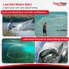 BasicGear Cast Net | Lead, 8ft Radius, 1/4 inch Mesh for Freshwater and Saltwater Bait Fish | Professional Grade and Upgraded Material | Throw Style view 4