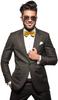 Alex Palaus Collection Stylish Designer Bow Ties - Pre Tied, Adjustable Unisex Bowtie for Men, Women, Boys and Girls (TM) (Gold) view 3